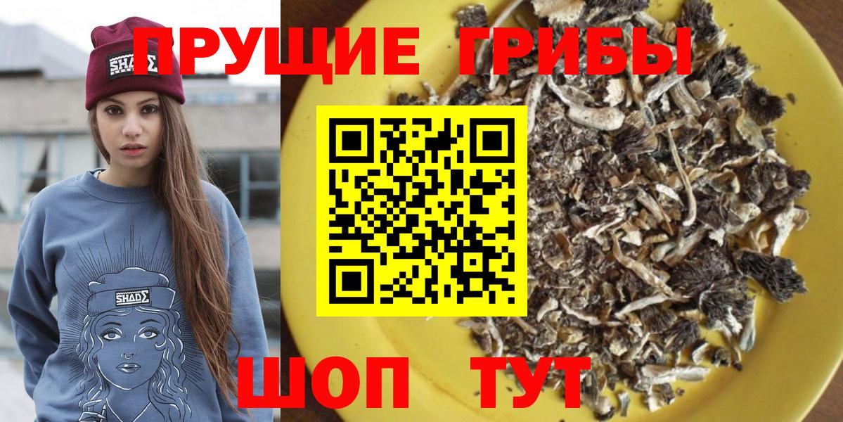 Галлюциногенные грибы мухоморы  продажа наркотиков  Тосно  Вход с VPN 