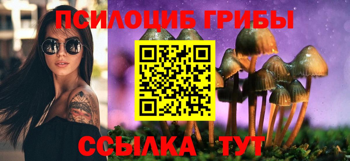 Псилоцибиновые грибы GOLDEN TEACHER Тосно